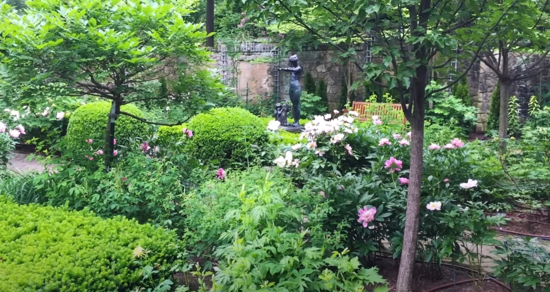 Mature Garden Maintenance - Shrub Care and Water Feature Integration Established garden with flowering shrubs, mature trees, and decorative water feature