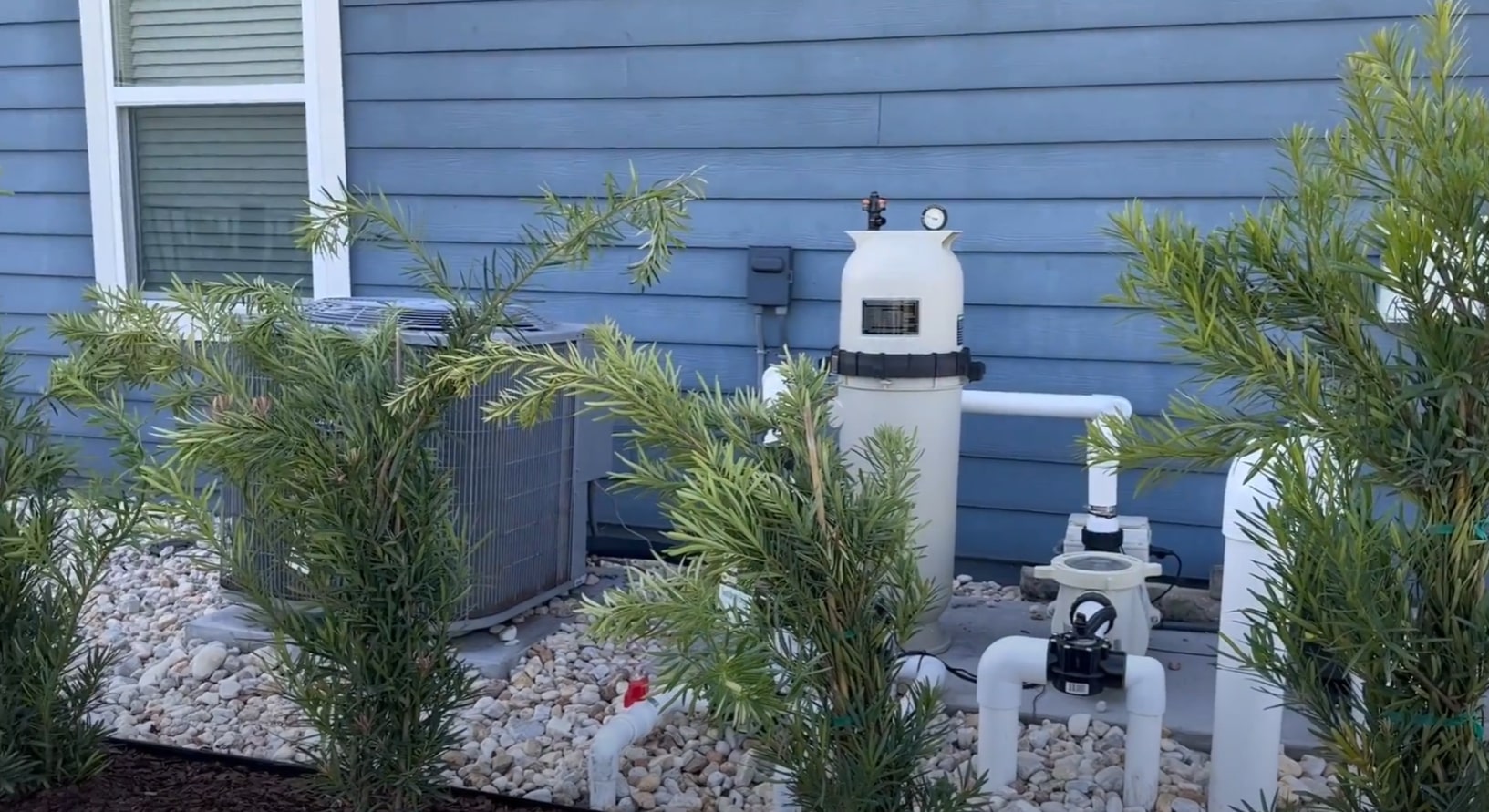 Pool Area Landscaping - Equipment Integration and Tropical Design Professional pool equipment and landscaping with tropical plants and decorative stone features