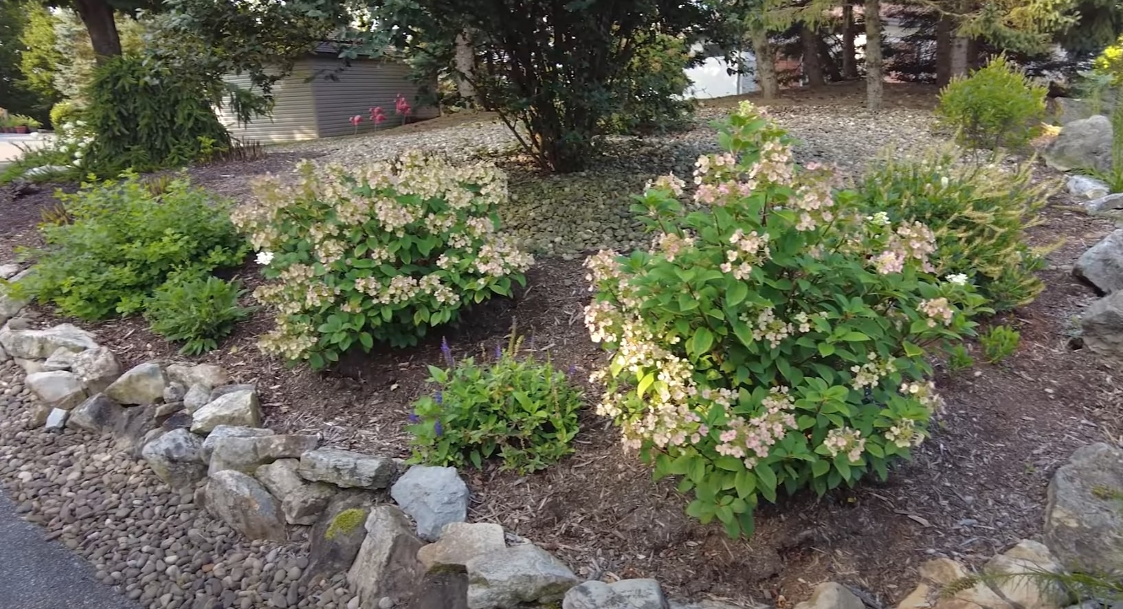Rock Garden Design - Natural Stone and Flowering Shrub Installation Natural stone landscaping with flowering shrubs and rock garden design elements