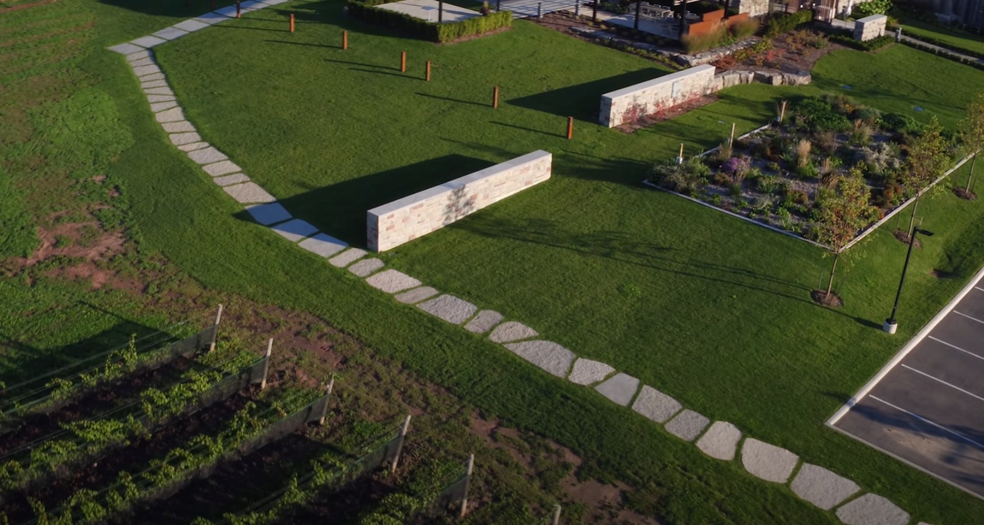Professional Sod Installation - Instant Beautiful Lawn Results Freshly installed sod creating a lush, green lawn with professional installation patterns
