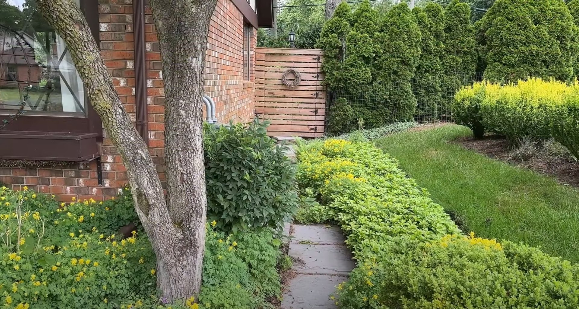 Professional Lawn Care - Walkway Design and Tree Services Residential landscape featuring curved walkway, mature trees, and well-maintained shrubs